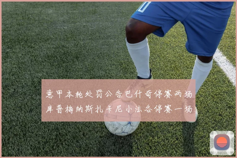 意甲本轮处罚公告巴什奇停赛两场库普梅纳斯扎卡尼小法各停赛一场
