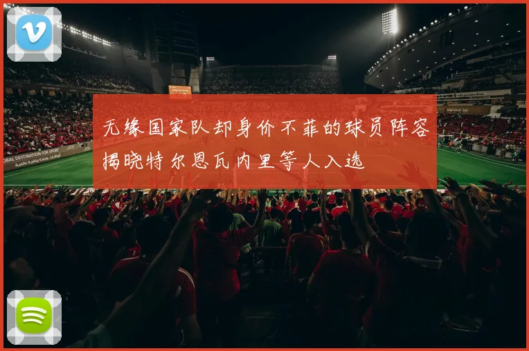 无缘国家队却身价不菲的球员阵容揭晓特尔恩瓦内里等人入选