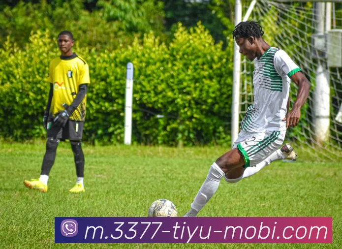 3377体育发展历程